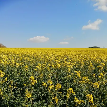 La Vieille Ferme Casa de Férias *