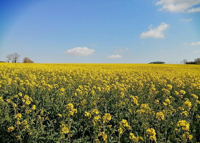 La Vieille Ferme 펜션 *